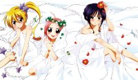 BUY NEW sumomomo momomo - 192201 Premium Anime Print Poster